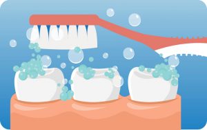 teeth Brushing Healthy gums