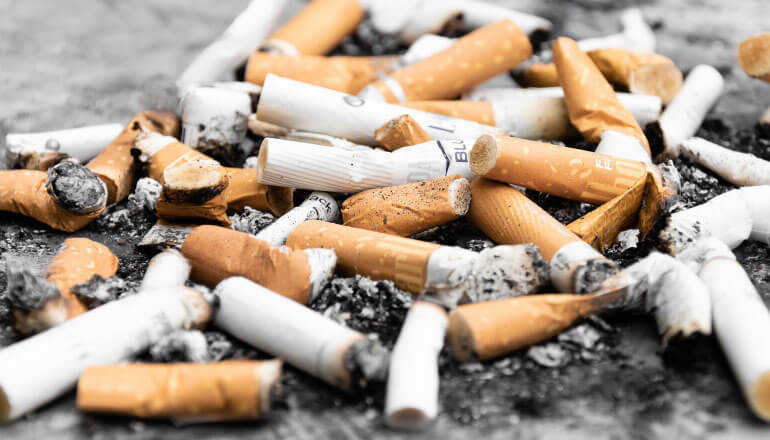 Cluster of disgusting used cigarettes