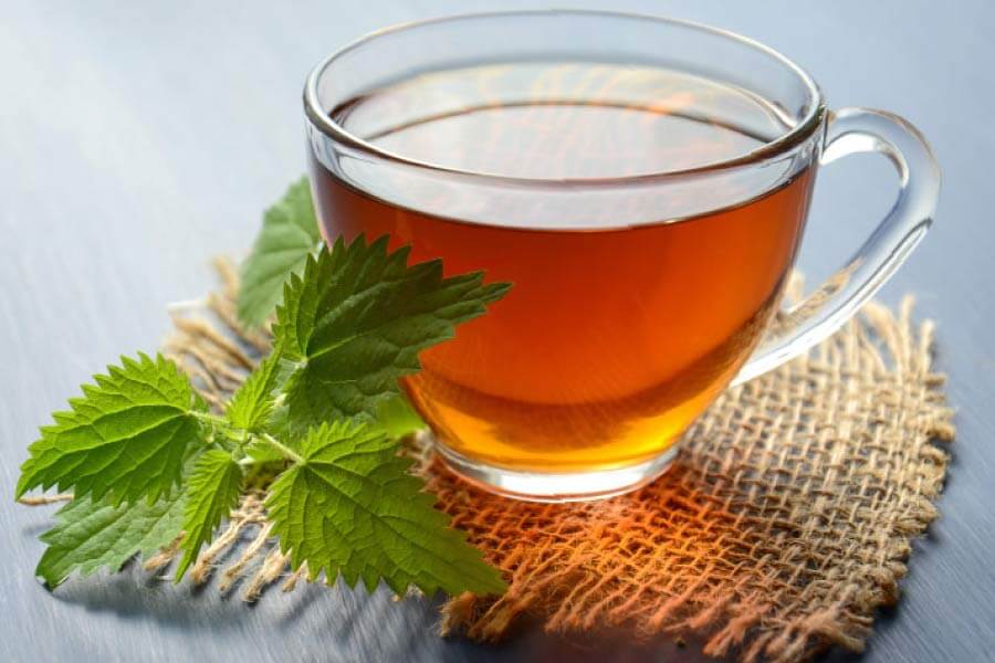 Green tea in a clear cup next to fresh tea leaves